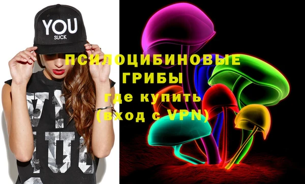 твердый Алексеевка