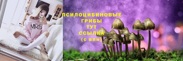 твердый Алексеевка