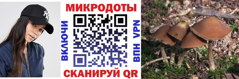 Галлюциногенные грибы Psilocybe  Аргун 