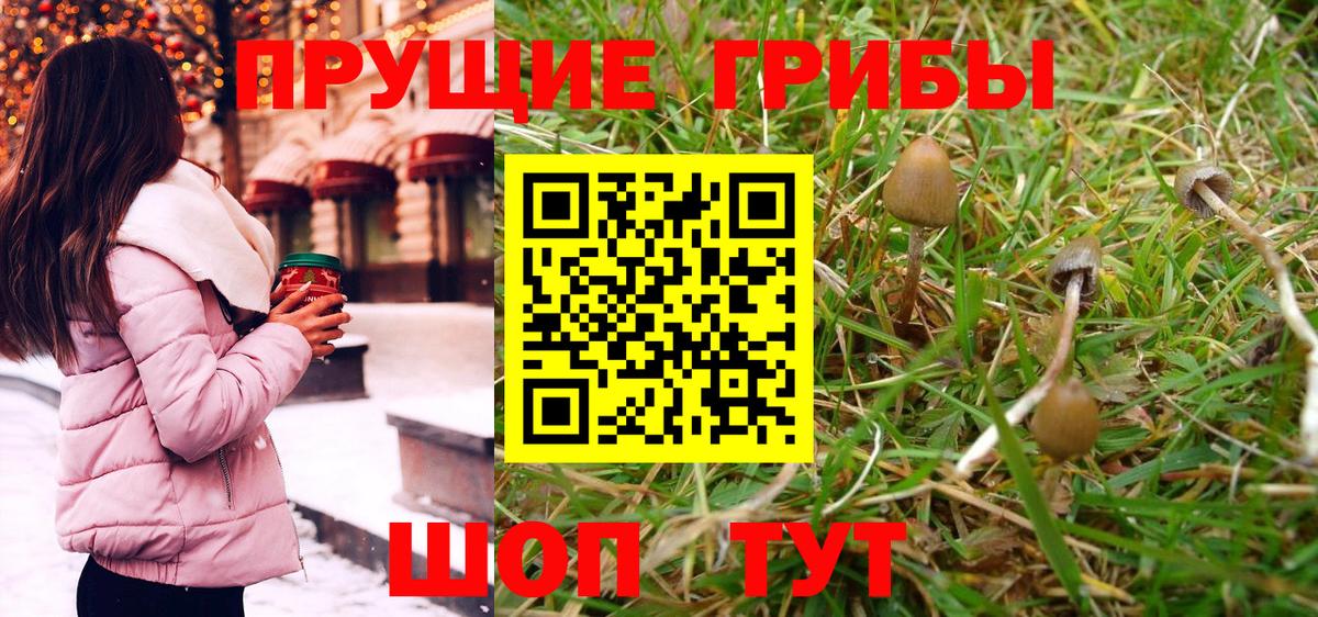 Галлюциногенные грибы прущие грибы Аргун