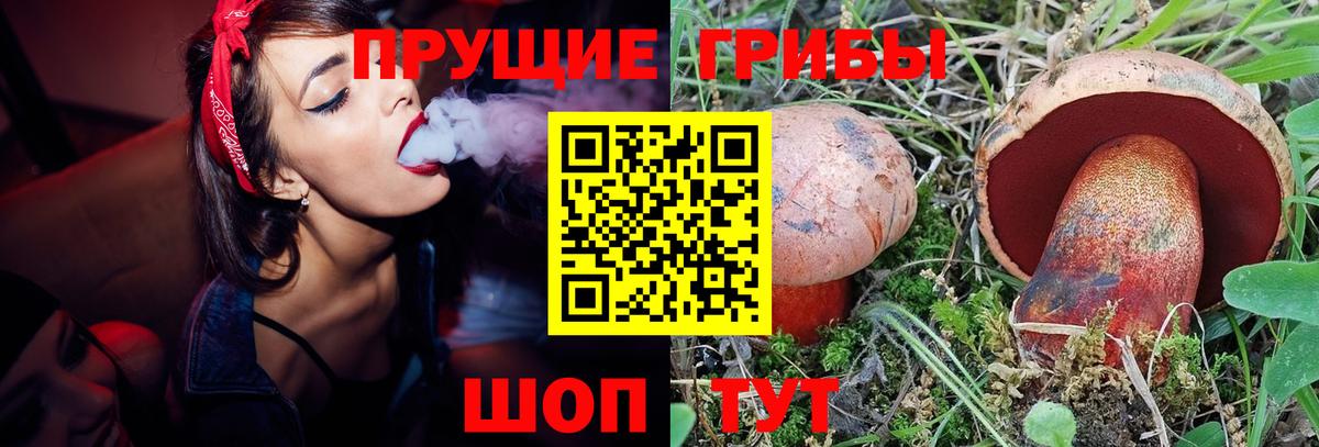 Аргун  Псилоцибиновые грибы Psilocybine cubensis  Вход с VPN 