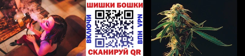 где продают   Аргун  Каннабис планчик 