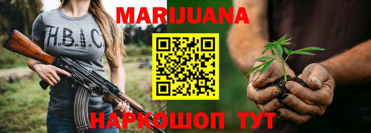Канабис Bruce Banner  Конопля планчик  Аргун  Канабис White Widow 