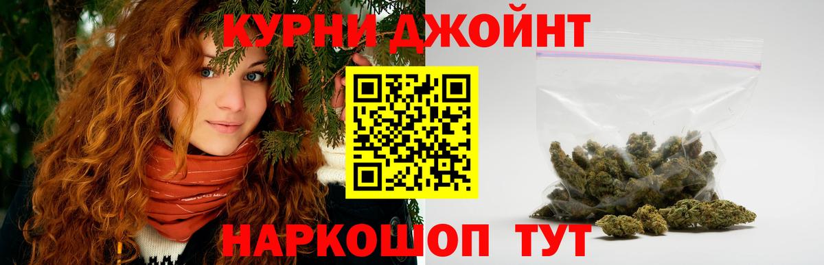 Конопля гибрид Аргун
